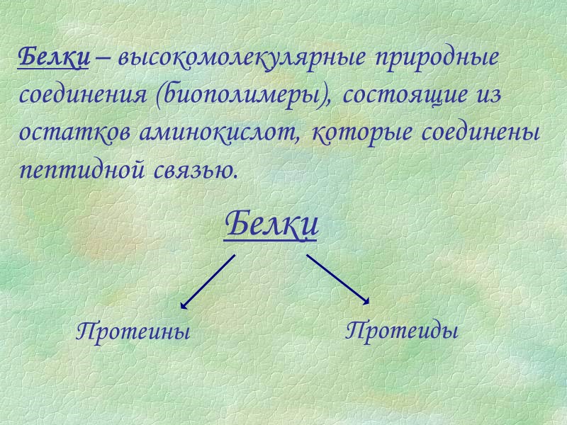 Белки – высокомолекулярные природные соединения (биополимеры), состоящие из остатков аминокислот, которые соединены пептидной связью.
